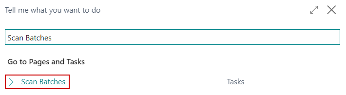 Scan Batches in the Global Search